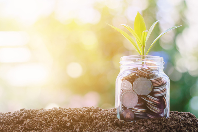 A small plant emerges from a jar of coins.